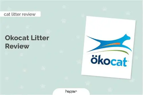 Okocat Litter Review 2023: Aglomeració de fusta, pi natural & Pellets de paper