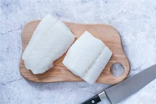 Fillet ikan mentah di papan kayu