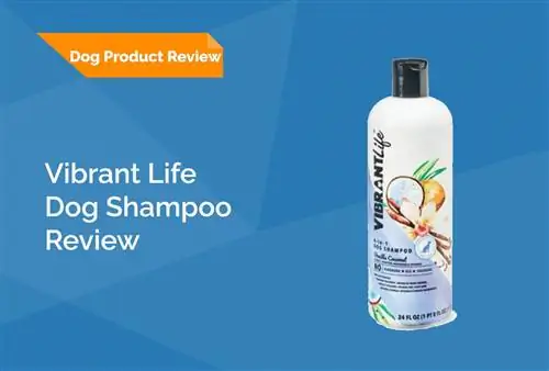 Vibrant Life Dog Shampoo Review 2023 – Fordeler, ulemper & Endelig dom