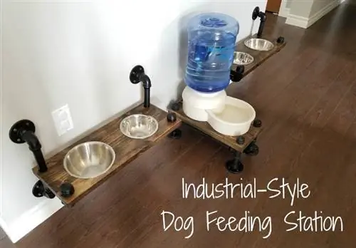 Hundefodringsstation i industriel stil