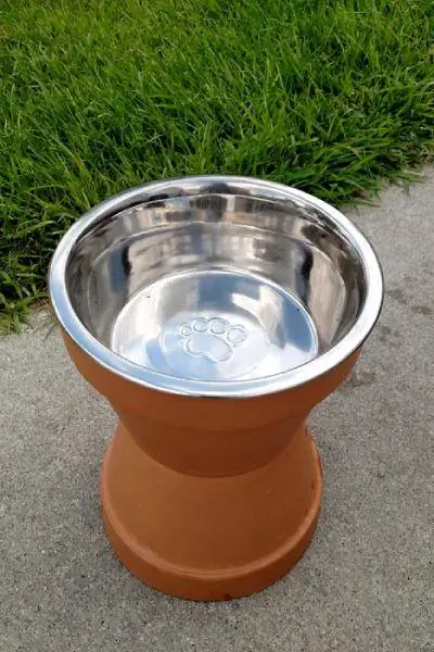 Raised Dog Food Bowls1