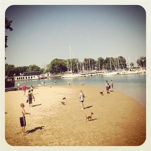 Spiaggia del cane del porto di Belmont