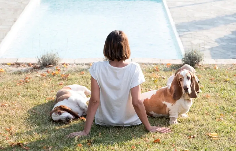 vrouw die met twee bassethonden zit bij een waad- of zwembad