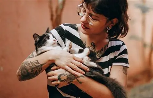 National Cat Lady Day 2023: Kailan Ito & Paano Ito Ipinagdiriwang?