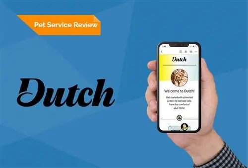 Dutch Online Veterinary Service Review 2023: Peb Tus Kws Lij Choj Lub Tswv Yim