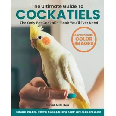 Az Ultimate Guide to Cockatiels