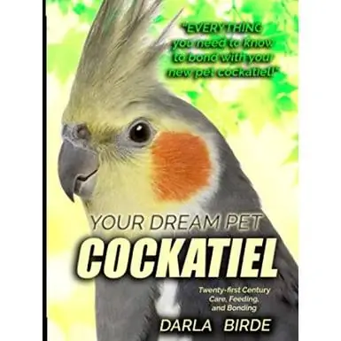 Cockatiel Binatang Idaman Anda