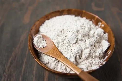 Diatomaceous Earth có giết được bọ chét không? Sự kiện được bác sĩ thú y phê duyệt & Câu hỏi thường gặp