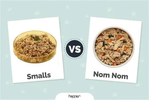 Smalls vs Nom Nom: мысыққа арналған қай жаңа піскен тағам сіздің мысыққа сәйкес келеді? (2023)