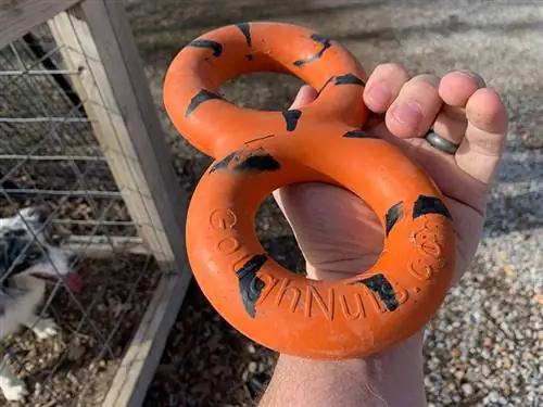 kezében a gongnut vontató játék