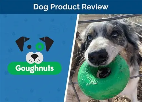 Goughnuts Dog Chew Toys Review 2023. Մեր փորձագետի կարծիքը