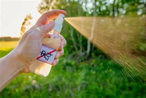 mano della donna che spruzza repellente per zanzare a base di olio essenziale fatto in casa all'aperto