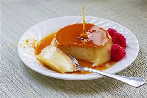 I cani possono mangiare il flan? Fatti esaminati dal veterinario & Domande frequenti