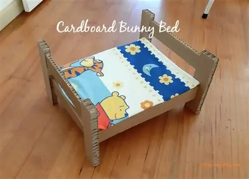 cama de coelho de papelão