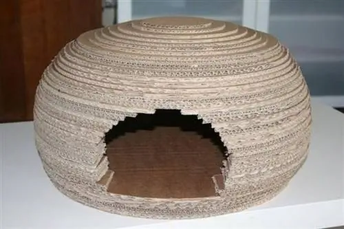 Iglu de papelão para animais de estimação