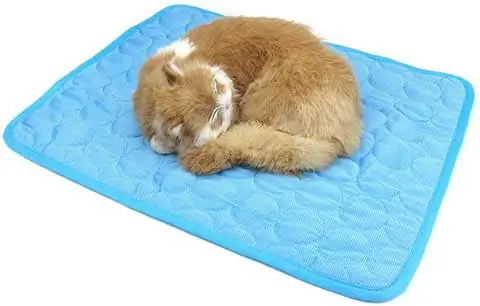 кот спит на Alfie Pet - Tyce Sleeping and Cooling Mat