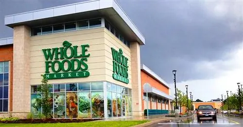 Whole Foods อนุญาตสุนัขหรือไม่? 2023 อัปเดต & เคล็ดลับ