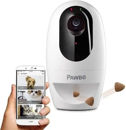 Pawbo Life Pet Kamera İncelemesi 2023: Artıları, Eksileri & Kararı