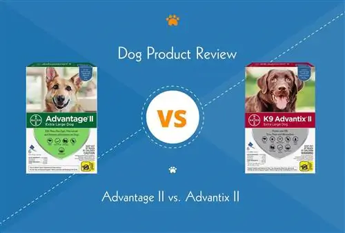 Advantage II vs. Advantix II (comparație 2023): Pro, Contra & Verdict