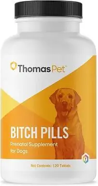 4 Թոմաս Pet Bitch Pills