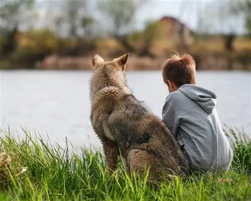 poika ja koira järven rannalla