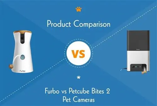 Furbo vs. Petcube Bites 2: Pet Camera 2023 salīdzinājums