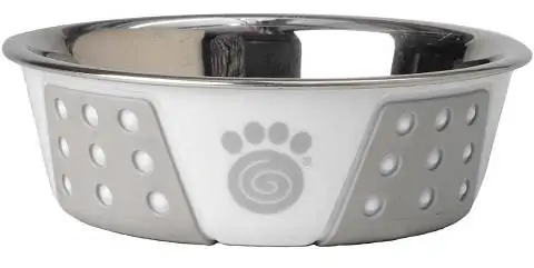 PetRageous 13094 Fiji Stainless-Steel Non-Slip Dishwasher Safe Dog Bowl