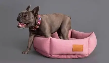 Velvet Hippo dog bed