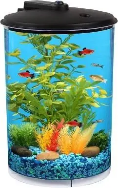 Koller Products Tropical 360