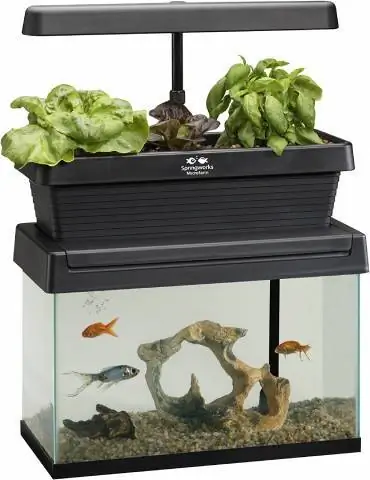 Springworks Microfarm Aquaponics Garden Fish Tank