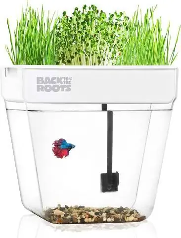 Επιστροφή στο The Roots Indoor Aquaponic Fish Tank