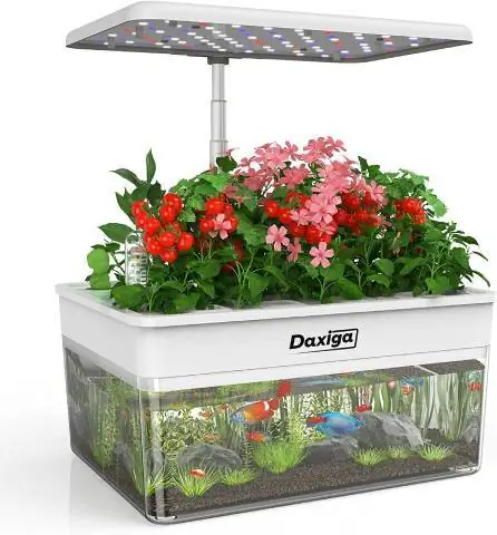 Daxiga Hydroponics მზარდი სისტემა