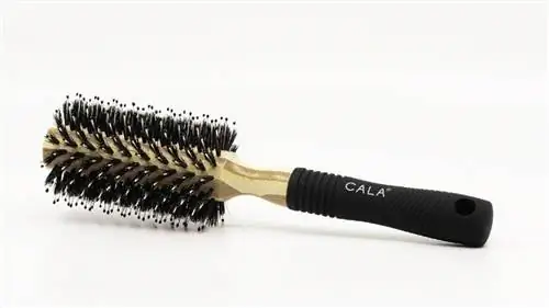 Brosse à cheveux