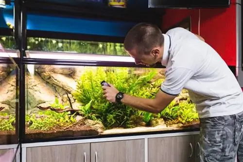 Een glazen aquarium opnieuw afsluiten: 8 eenvoudige stappen