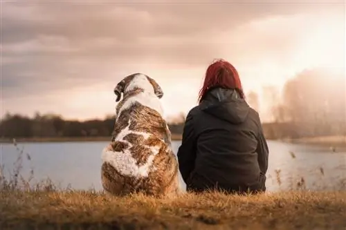 donna e cane in riva al lago