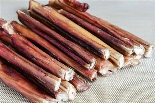 Ar Bully Sticks yra saugus šuniukams? Naudojimas, rizika & Alternatyvos