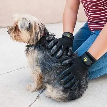 Los 10 mejores guantes para el aseo de perros – Reseñas de 2023 & Las mejores selecciones