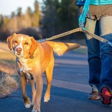 RUFFWEAR - Dubbelspårskoppling