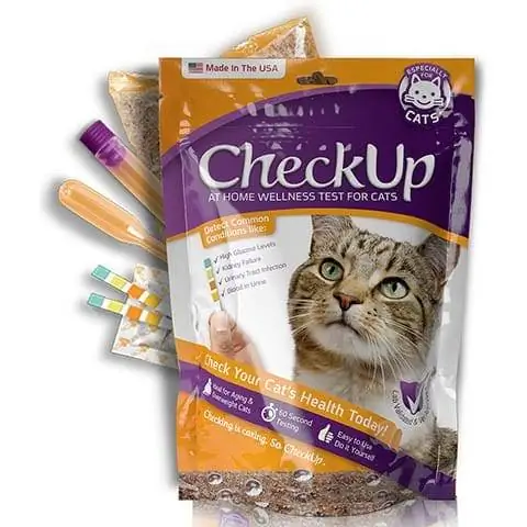 CheckUp à la maison Test de bien-être Analyse d'urine pour chats