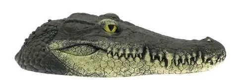 Tête d'alligator flottante Geniff