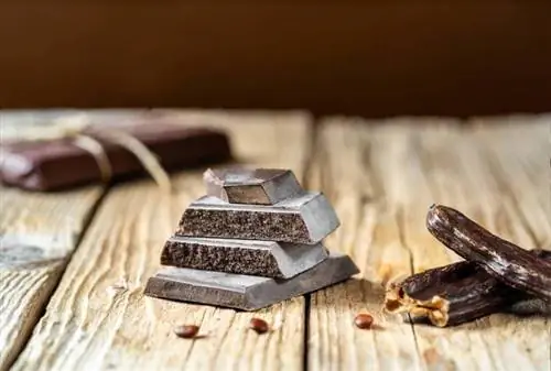 cioccolato alla carruba con baccelli di carruba sul lato