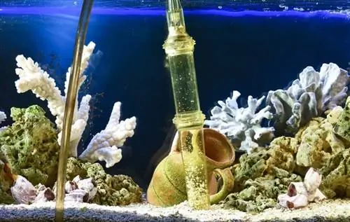 aquariumfilter_Andrey_Nikitin_Shutterstock