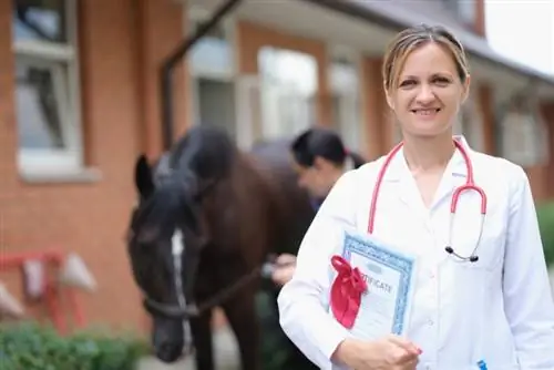 certificat veterinari en possessió