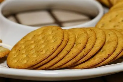 Kunnen goudvissen crackers eten? Vervangt & veelgestelde vragen