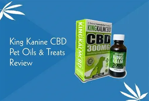 King Kanine CBD Pet Oils & Godbiter anmeldelse 2023: Fordeler & Ulemper