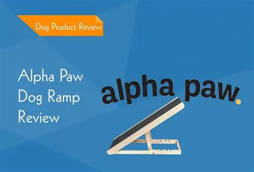 Alpha Paw PawRamp šunų rampos apžvalga 2023 m.: už ir prieš & Verdiktas