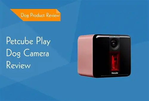 Petcube Play Pet Camera Review 2023 - plusi, mīnusi & Spriedums