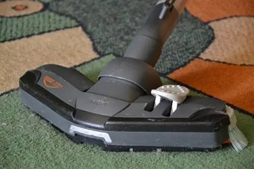 vacuum clean ang carpet