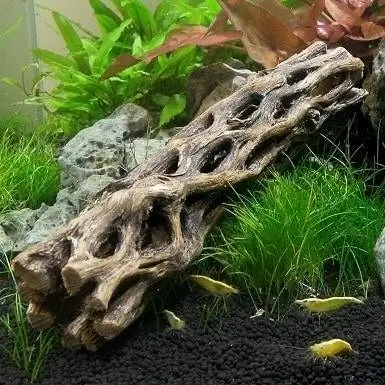 8 Pinakamahusay na Driftwood para sa Mga Aquarium noong 2023 – Mga Review & Mga Nangungunang Pinili