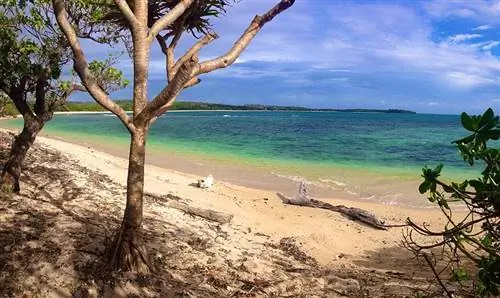 Praia de Moana